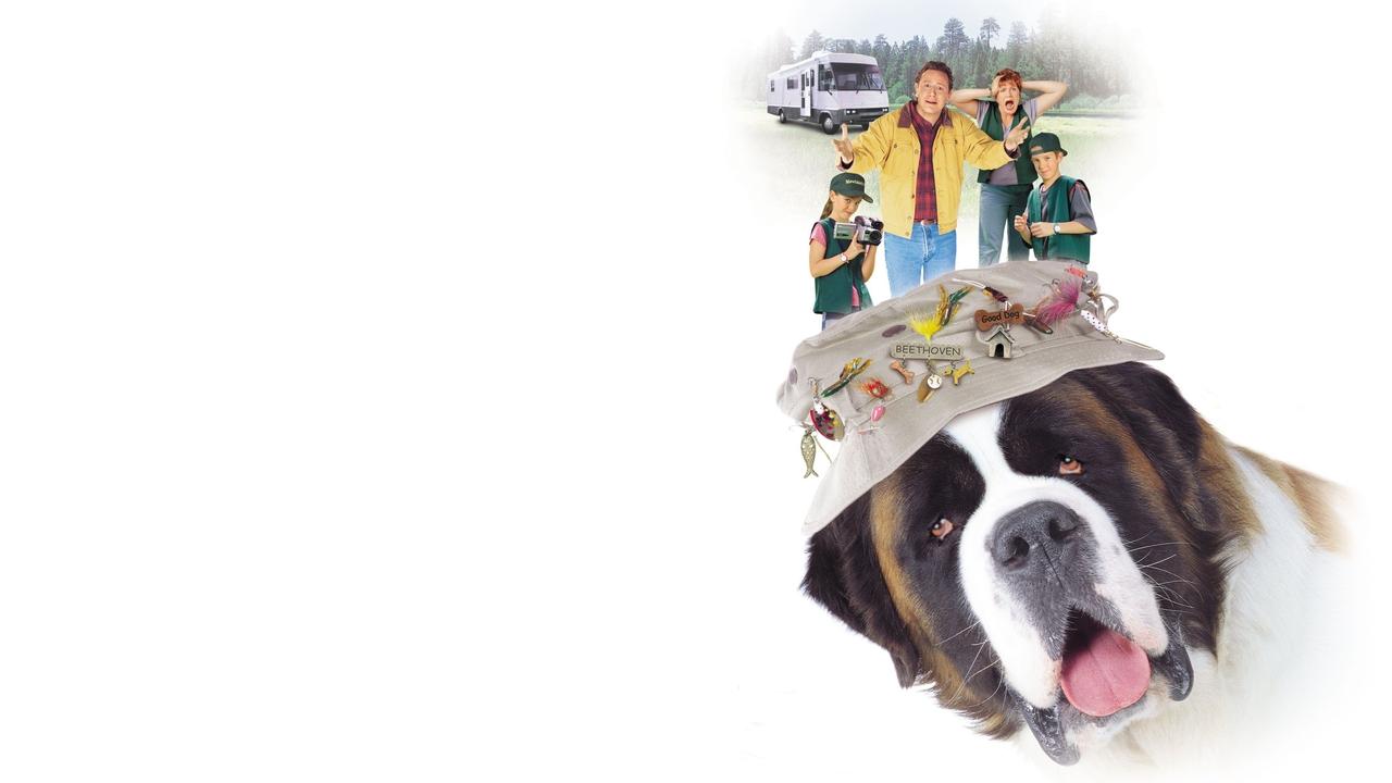 Afacan Köpek Beethoven 3 fon görüntüsü