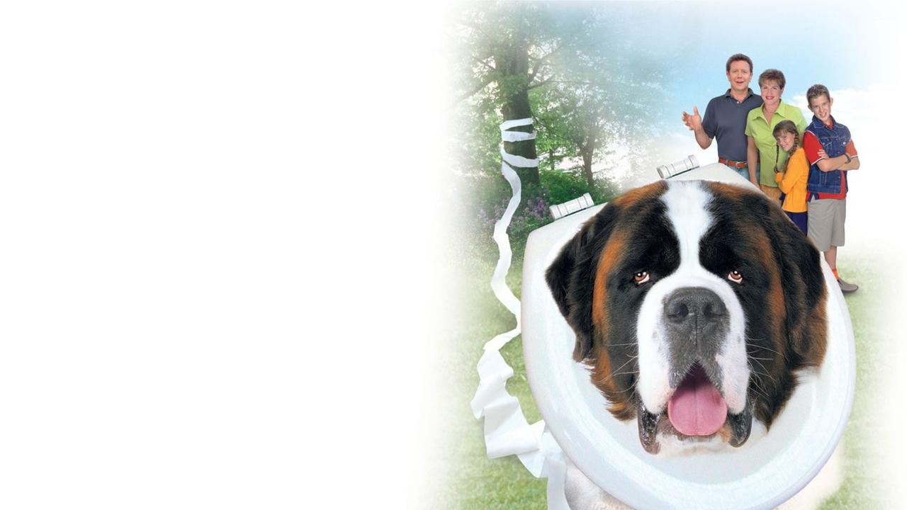 Afacan Köpek Beethoven 4 fon görüntüsü